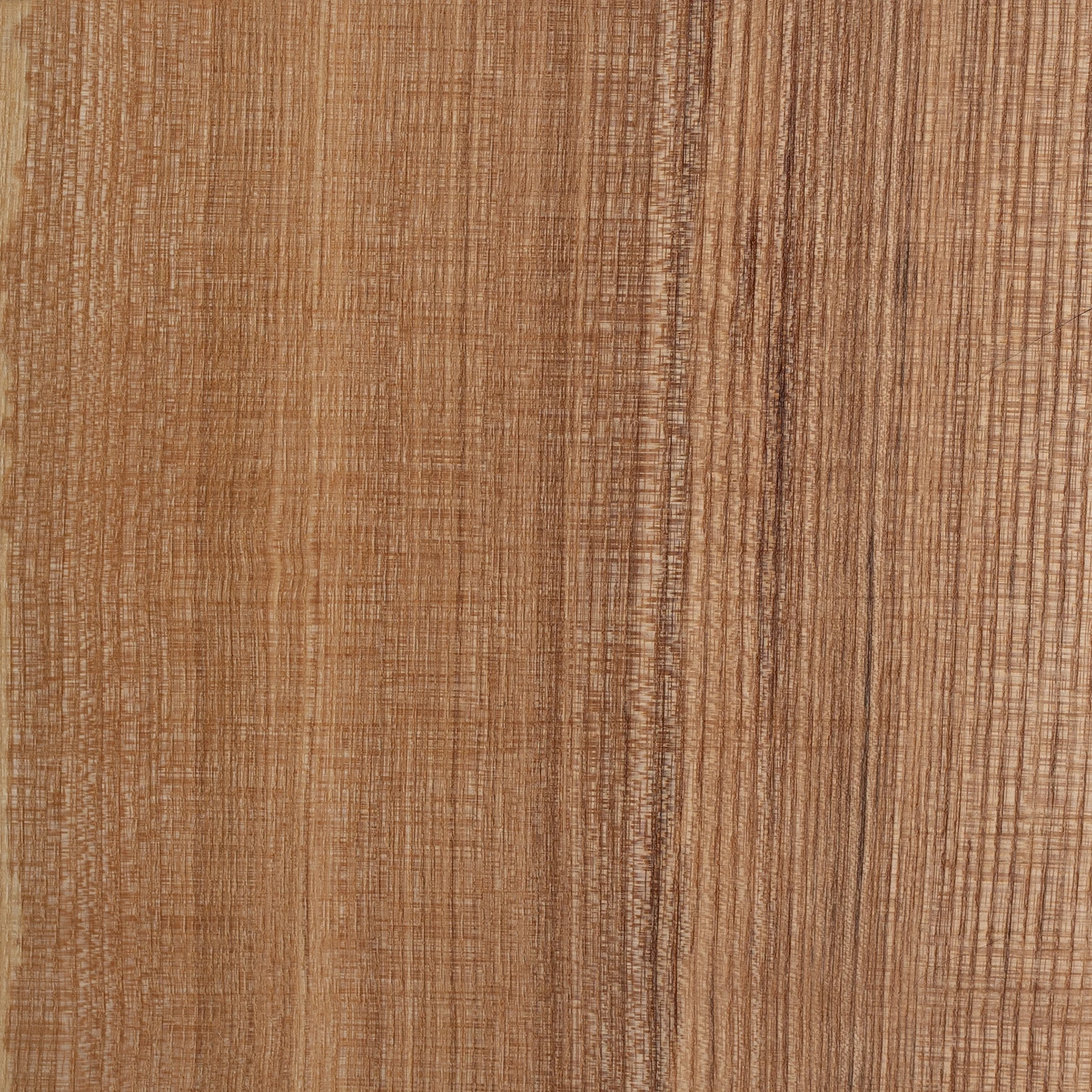 Light ash wood sample texture